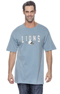 Detroit lions on Blue